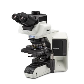 BX53 | Fluorescence Microscope