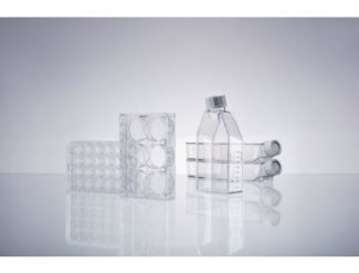 CCCadvanced® FN1 motifs cell culture flasks