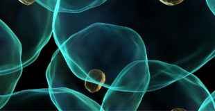 Global Conference: Drug Discovery and Development