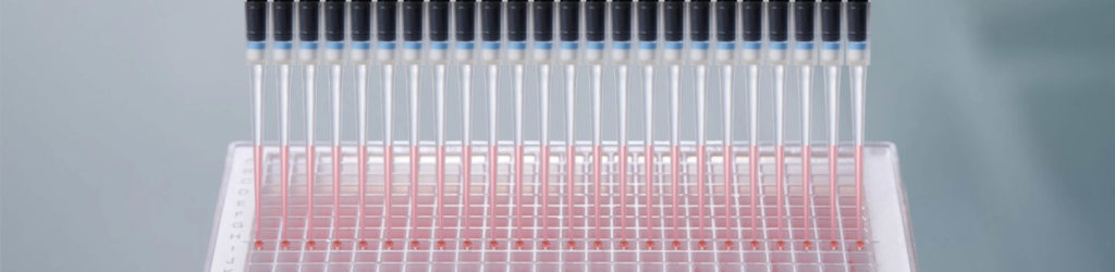 Cell-based assays eppendorf