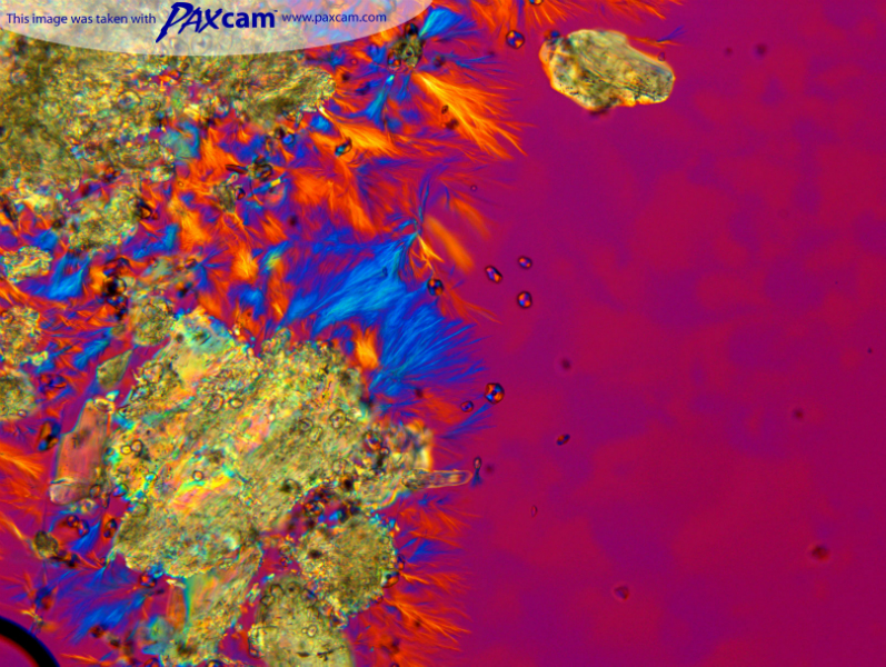 Microscopy imaging software for FDA compliance - Mason Technology
