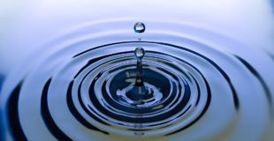 Shimadzu OnDemand Webcast: Water quality – PFAS analysis pitfalls and fixes