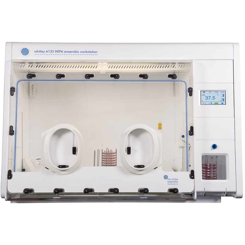 Whitley A135 HEPA Workstation