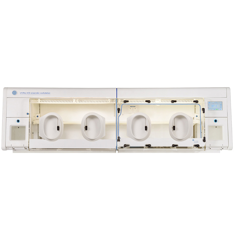 Whitley A55 Workstation