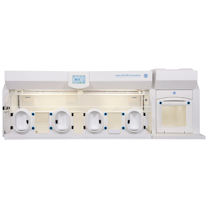 Whitley H95 Hypoxystation