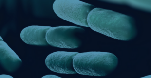 Webinar: Exploring the Microbiome with Dr Markus Geuking