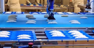 Webinar: Smart Weighing in Food Production