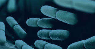 Webinar Series: Discover the Latest in Microbiome Research with Don Whitley Scientific