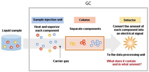 GC-1 Figure 1. Gas Chromatography Instrument Schematics