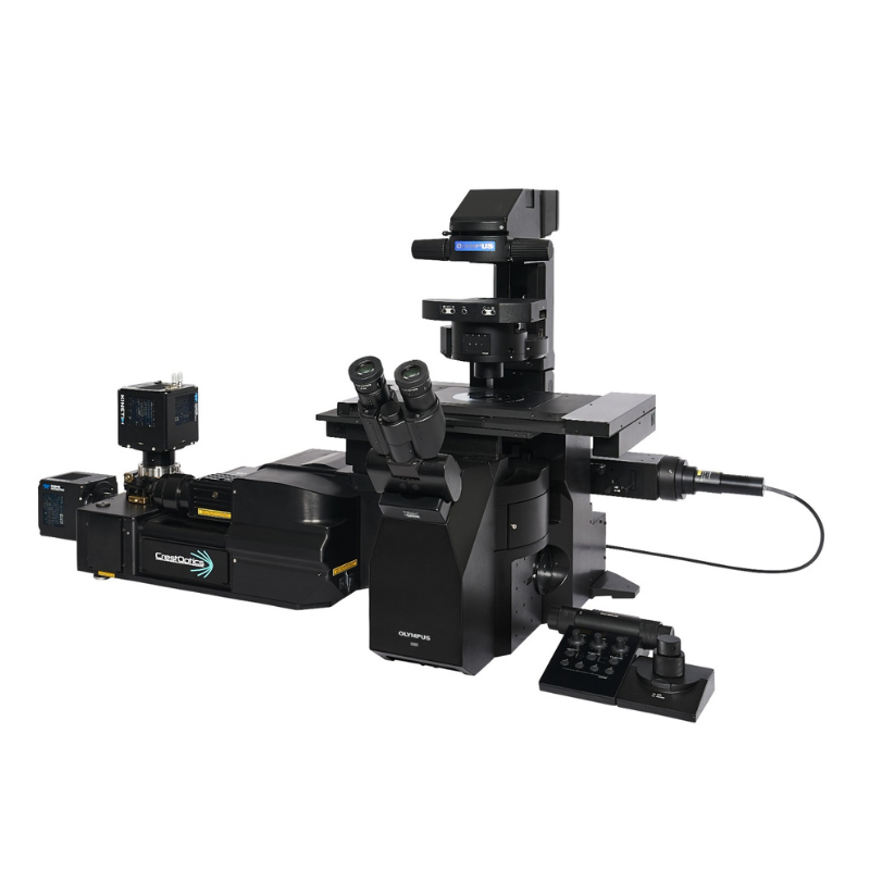 IXplore IX85 SpinXL Spinning Disk Confocal Microscope System