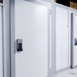 Temperature Mapping - Cold Rooms and Walk-in Freezers Temperature Mapping - Cold Rooms and Walk-in Freezers