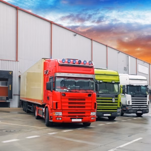 Temperature Mapping - Transport Temperature Mapping - Transport