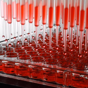 Laboratory Automation Solutions - Laboratory Automation Solutions